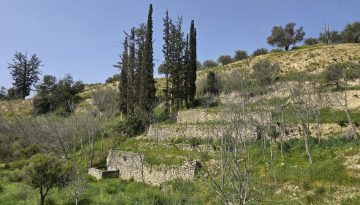 ΞΕΡΟΛΙΘΙΑ ΣΤΟΝ ΑΜΠΕΛΟΥΖΟ