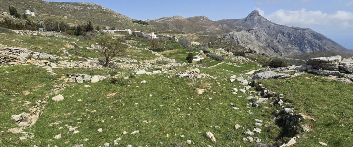 ΑΛΩΝΙ ΣΤΑ ΚΑΠΕΤΑΝΙΑΝΑ