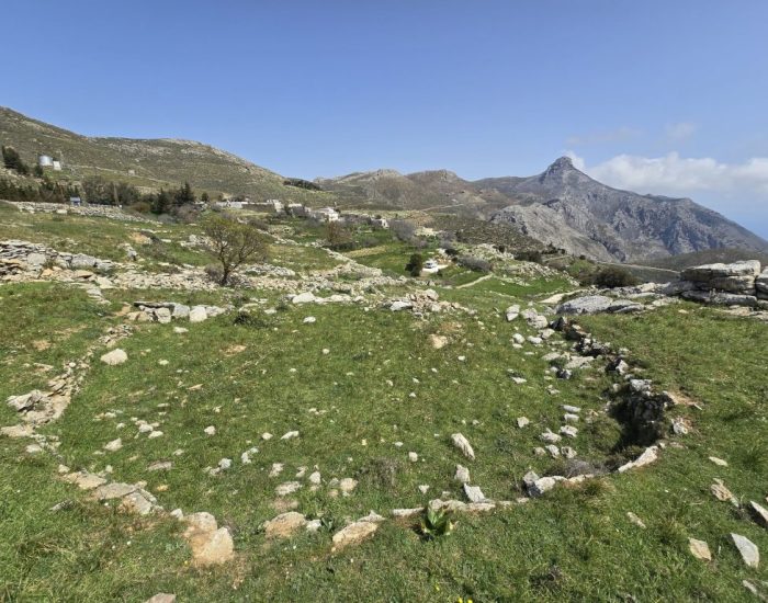 ΑΛΩΝΙ ΣΤΑ ΚΑΠΕΤΑΝΙΑΝΑ