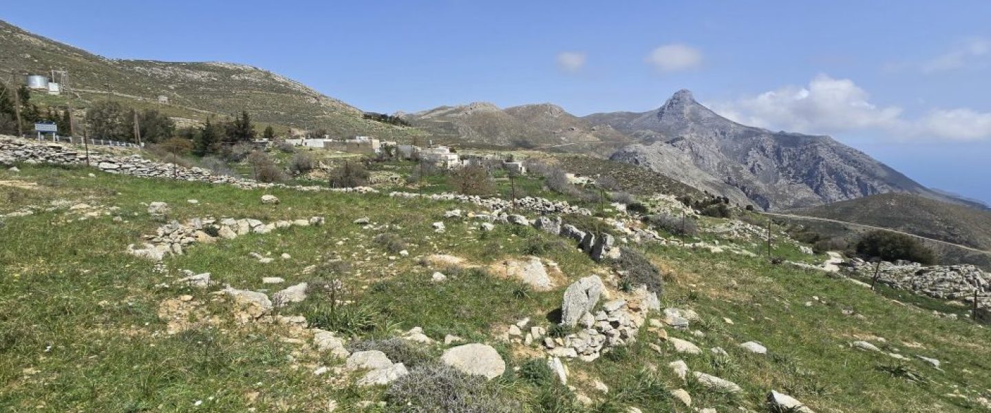 ΑΛΩΝΙ ΣΤΑ ΚΑΠΕΤΑΝΙΑΝΑ Γ'