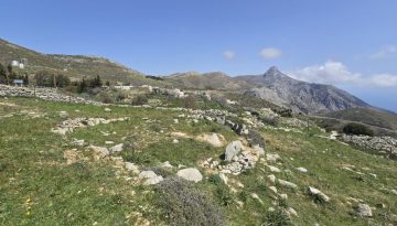 ΑΛΩΝΙ ΣΤΑ ΚΑΠΕΤΑΝΙΑΝΑ Γ'