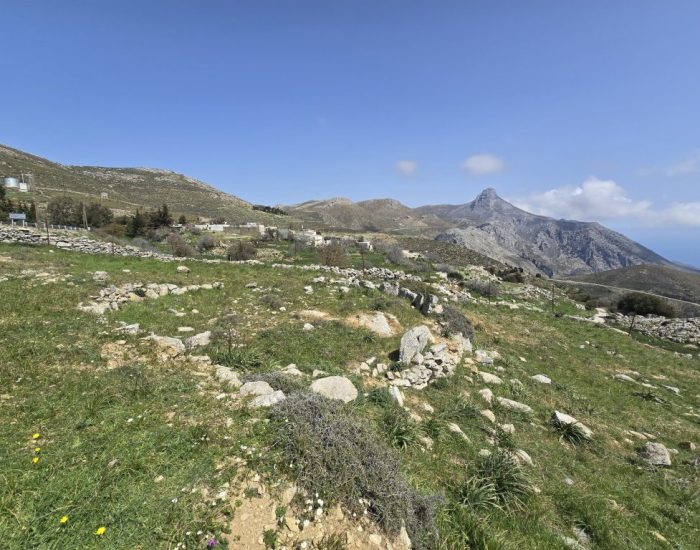 ΑΛΩΝΙ ΣΤΑ ΚΑΠΕΤΑΝΙΑΝΑ Γ'