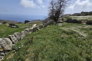 ΑΛΩΝΙ ΣΤΑ ΚΑΠΕΤΑΝΙΑΝΑ Β'