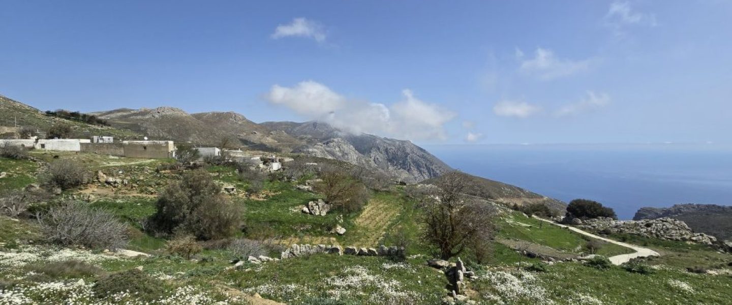 ΑΛΩΝΙ ΣΤΑ ΚΑΠΕΤΑΝΙΑΝΑ Β'
