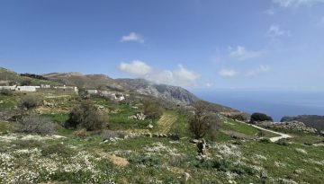 ΑΛΩΝΙ ΣΤΑ ΚΑΠΕΤΑΝΙΑΝΑ Β'