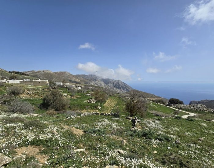 ΑΛΩΝΙ ΣΤΑ ΚΑΠΕΤΑΝΙΑΝΑ Β'