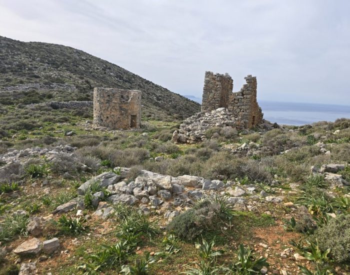 ΣΤΕΡΝΑ ΣΤΟ ΜΟΧΟ