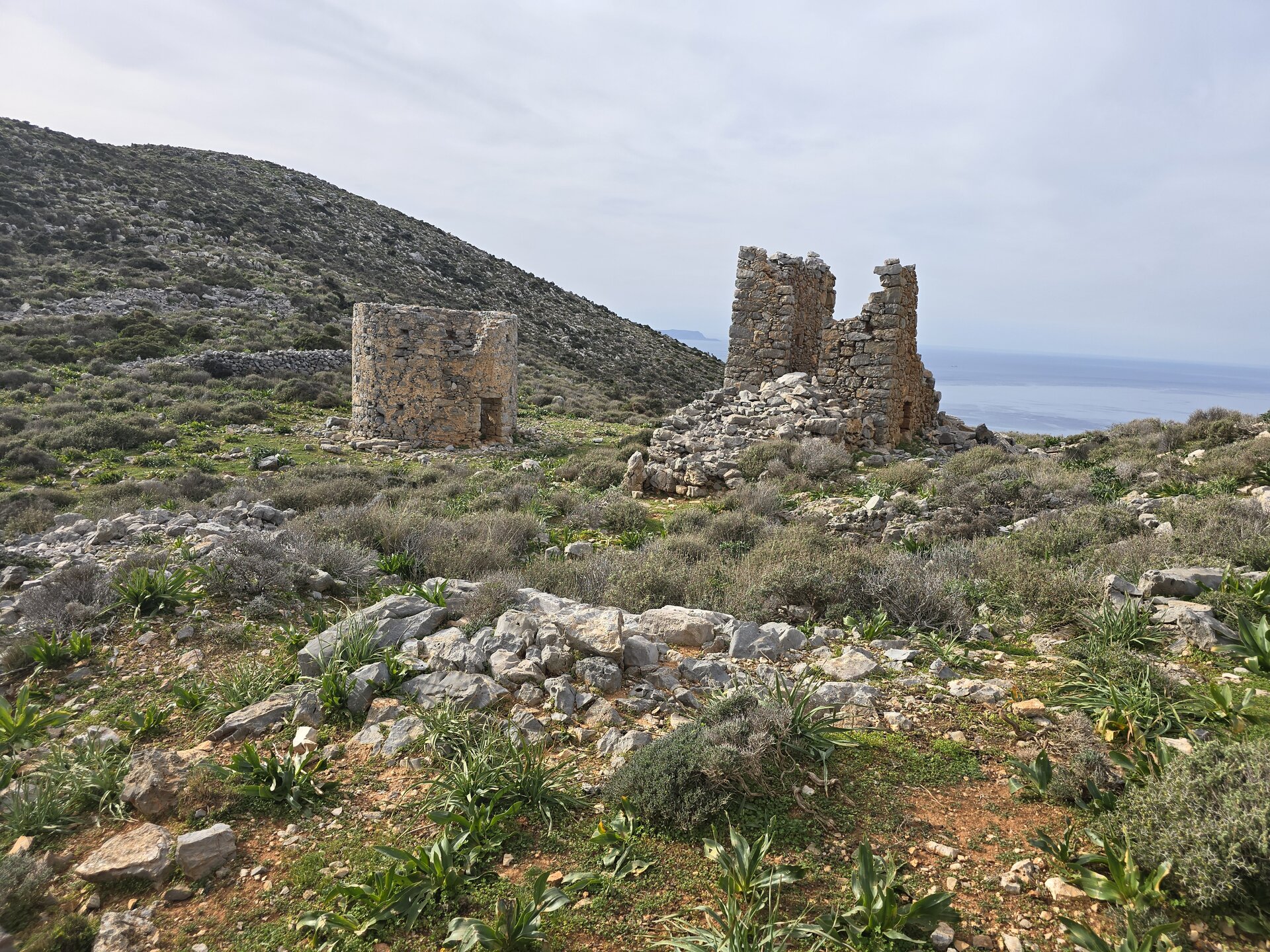 ΣΤΕΡΝΑ ΣΤΟ ΜΟΧΟ