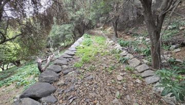ΠΛΑΚΟΣΤΡΩΤΟ ΣΤΗ ΚΑΣΤΑΜΟΝΙΤΣΑ