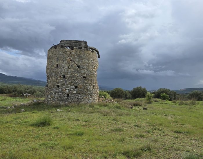 ΑΝΕΜΟΜΥΛΟΣ ΣΤΟ ΝΙΠΙΔΙΤΟ