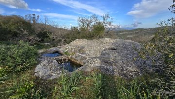 ΠΑΤΗΤΗΡΙ ΣΤΟΝ ΠΡΙΝΙΑ Α'