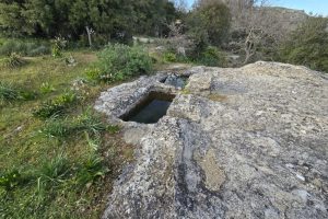 ΠΑΤΗΤΗΡΙ ΣΤΟΝ ΠΡΙΝΙΑ Α' 