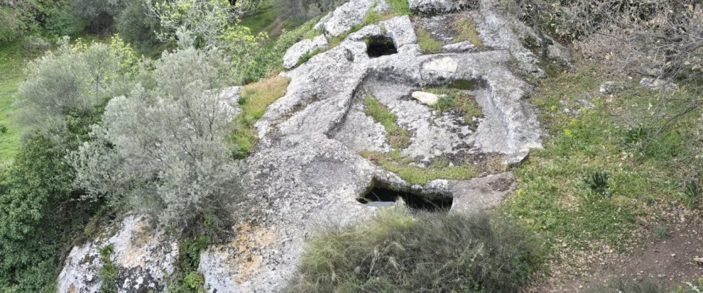 ΠΑΤΗΤΗΡΙ ΣΤΟΝ ΠΡΙΝΙΑ Β'