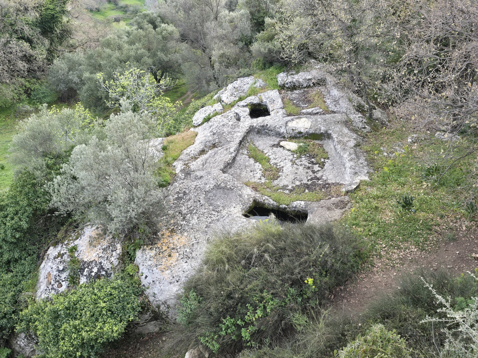 ΠΑΤΗΤΗΡΙ ΣΤΟΝ ΠΡΙΝΙΑ Β'