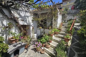 ΑΓΡΟΤΟΣΠΙΤΟ ΜΕ ΘΟΛΟ ΣΤΟ ΧΑΡΑΣΟ