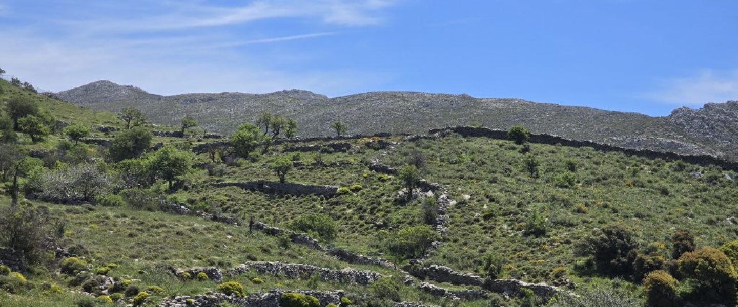 ΞΕΡΟΛΙΘΙΑ ΣΤΗΝ ΕΘΙΑ