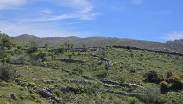 ΞΕΡΟΛΙΘΙΑ ΣΤΗΝ ΕΘΙΑ