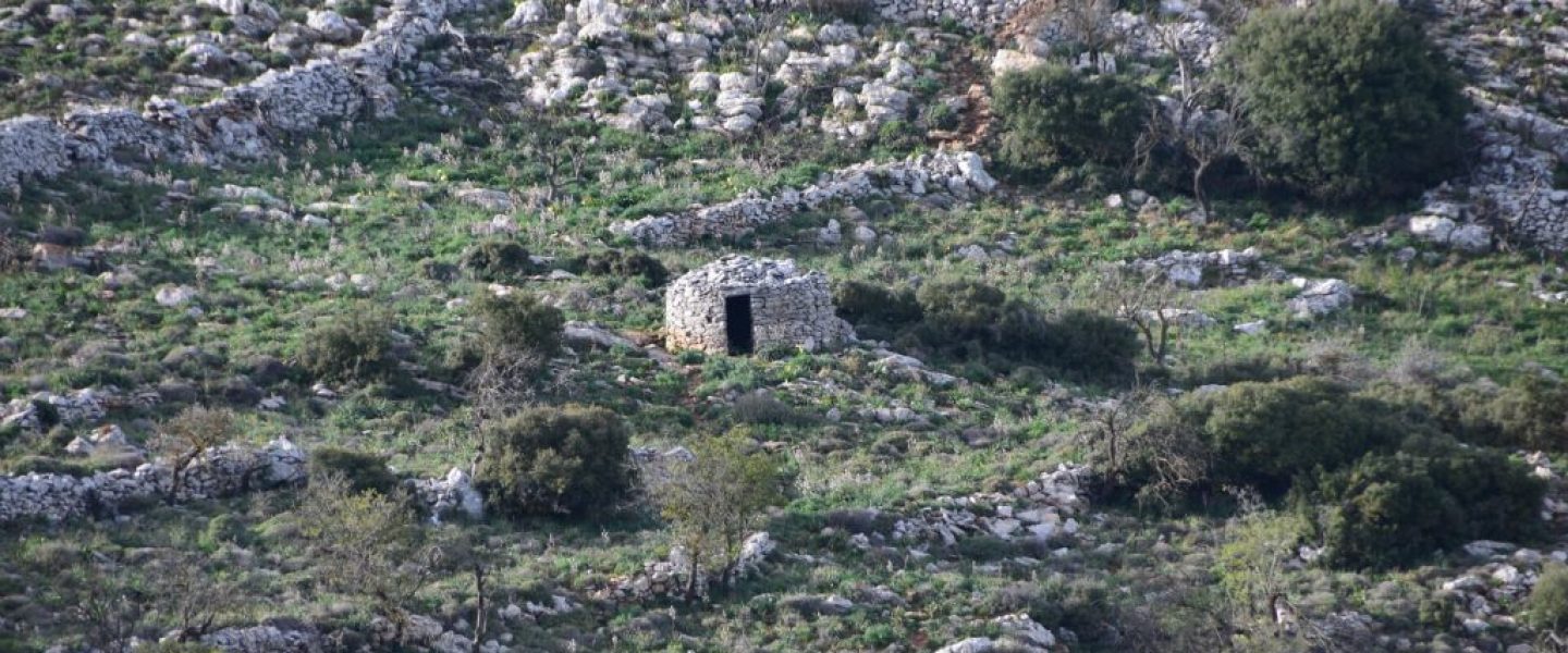 ΑΓΡΟΤΟΣΠΙΤΟ ΣΤΟΝ ΑΧΕΝΤΡΙΑ (ΚΑΛΥΒΙ)