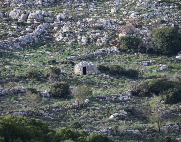 ΑΓΡΟΤΟΣΠΙΤΟ ΣΤΟΝ ΑΧΕΝΤΡΙΑ (ΚΑΛΥΒΙ)