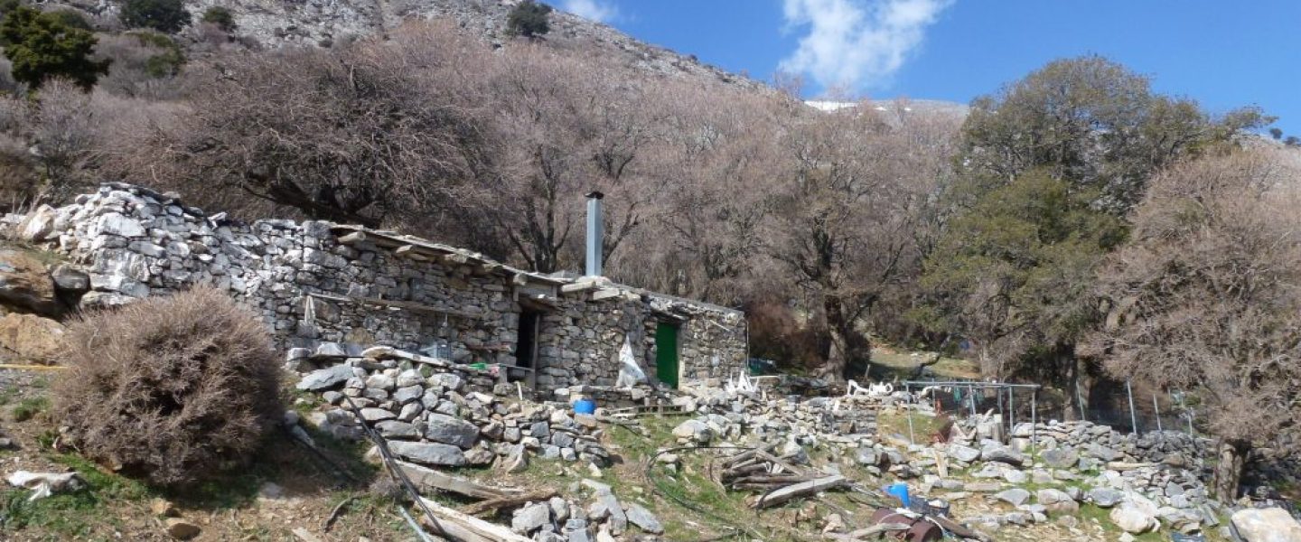 ΜΙΤΑΤΟ ΣΤΗΝ ΑΝΩ ΒΙΑΝΝΟ
