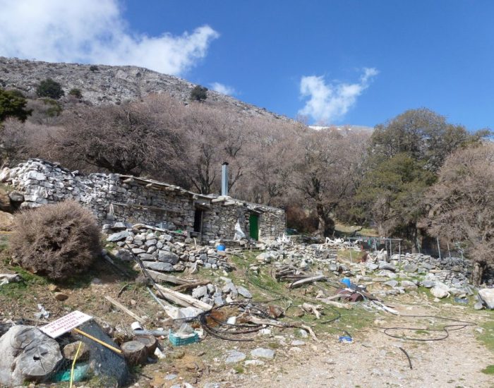 ΜΙΤΑΤΟ ΣΤΗΝ ΑΝΩ ΒΙΑΝΝΟ
