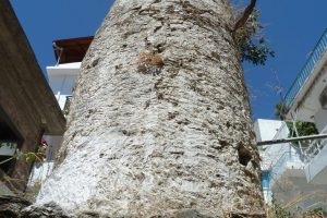 ΝΕΡΟΜΥΛΟΣ ΣΤΗ ΒΙΑΝΝΟ